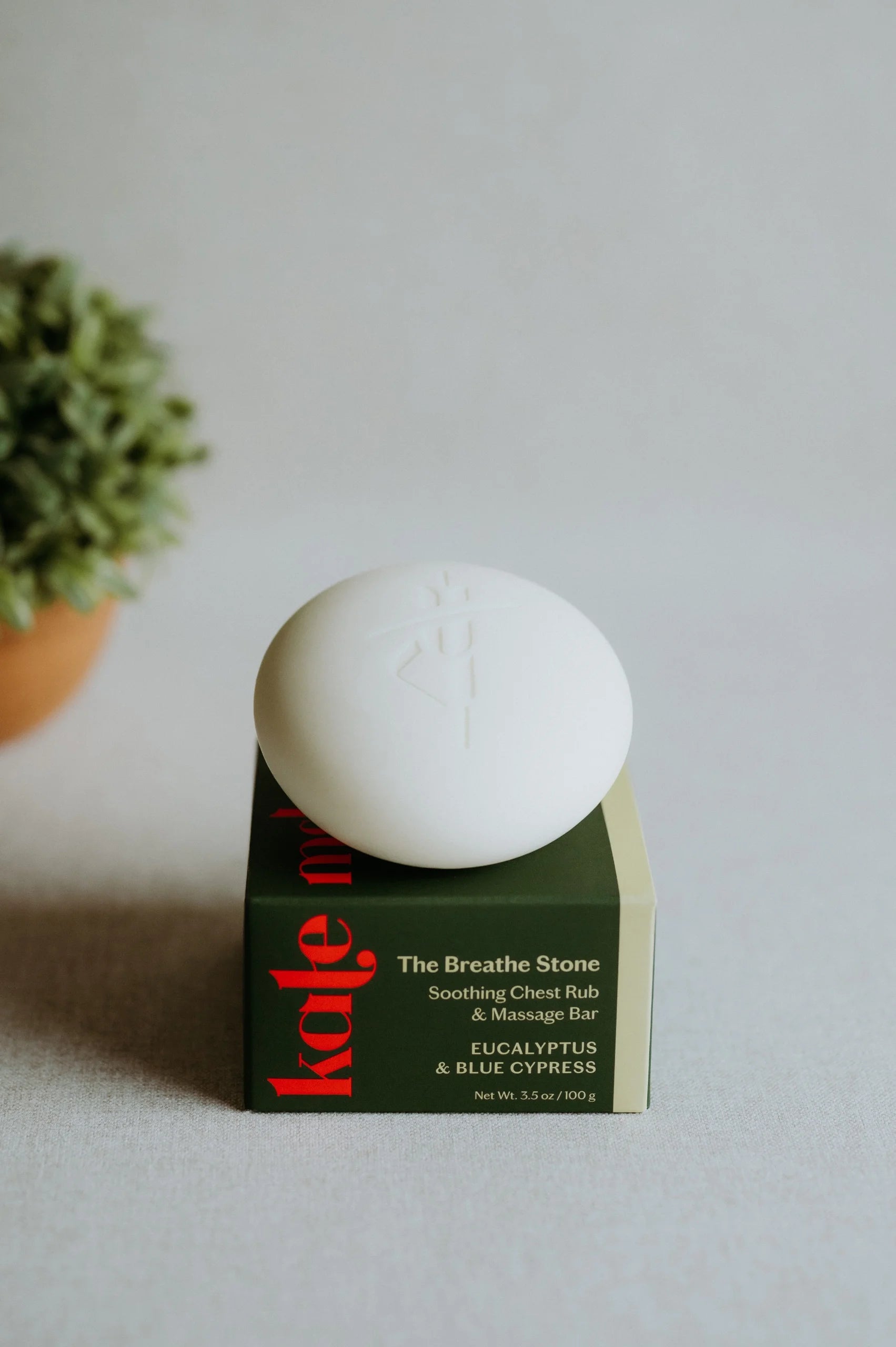Kate McLeod The Breathe Stone