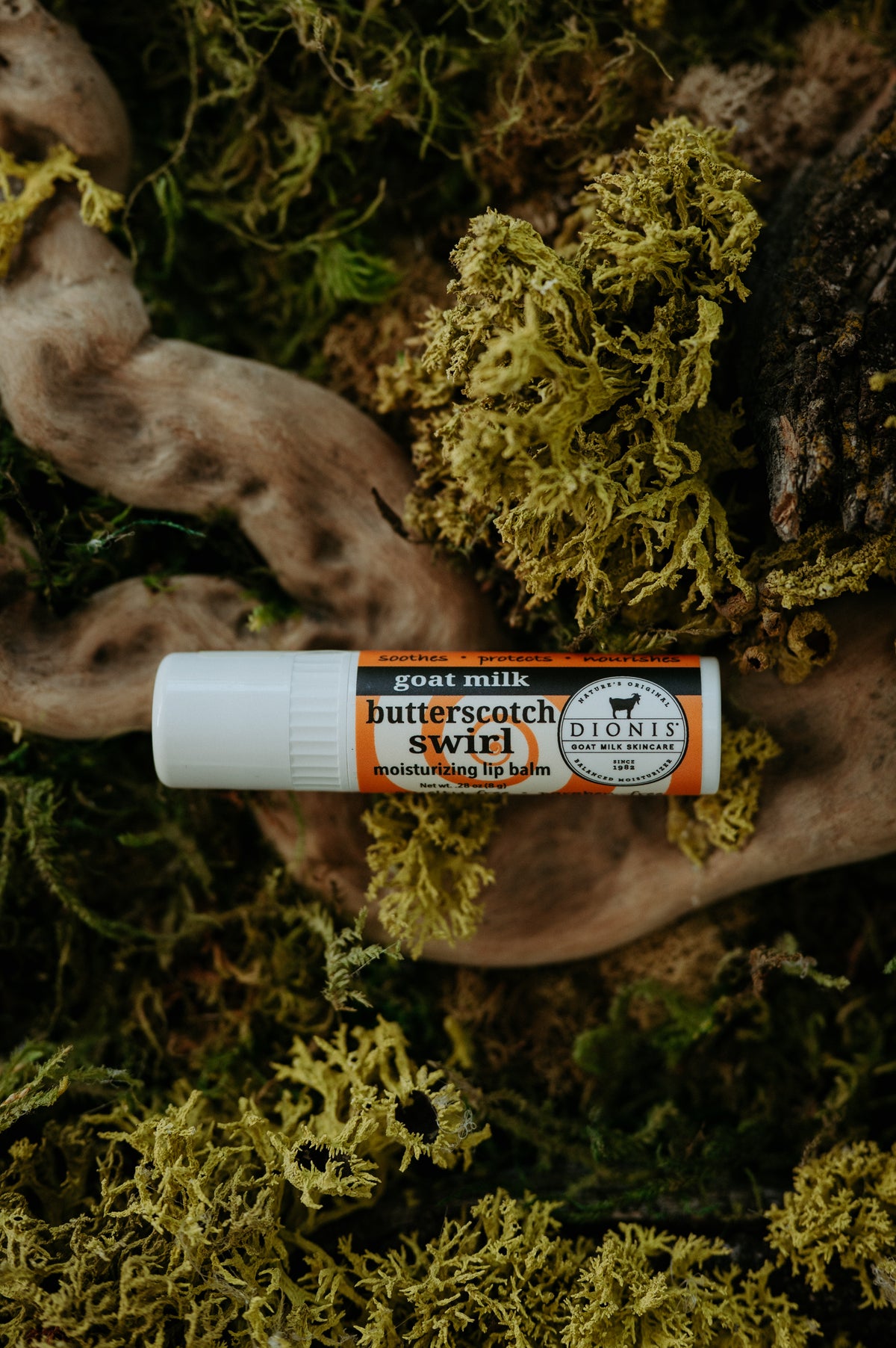 Dionis Lip Balm (Butterscotch Swirl)