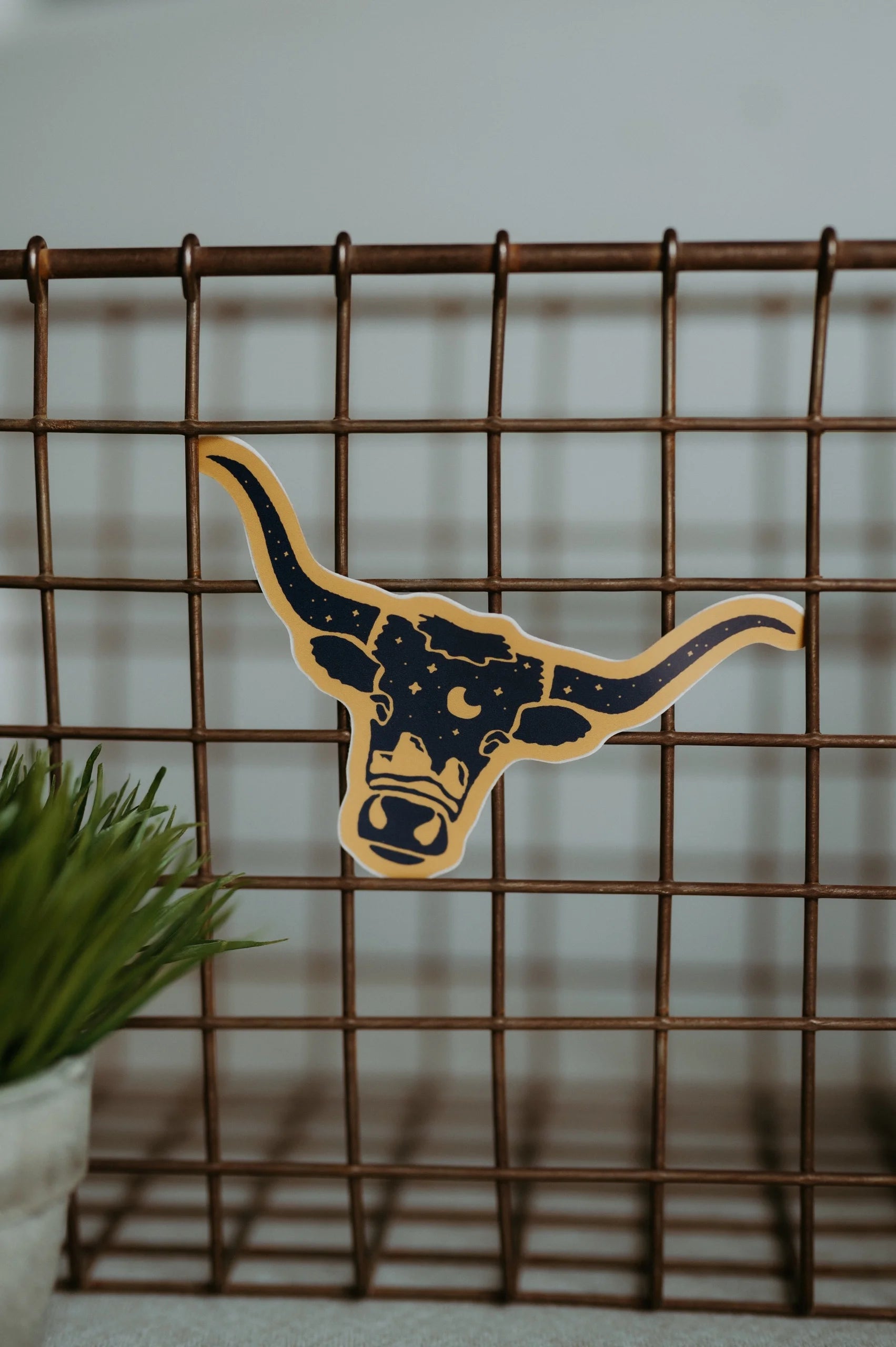 Sticker- Longhorn With Stars