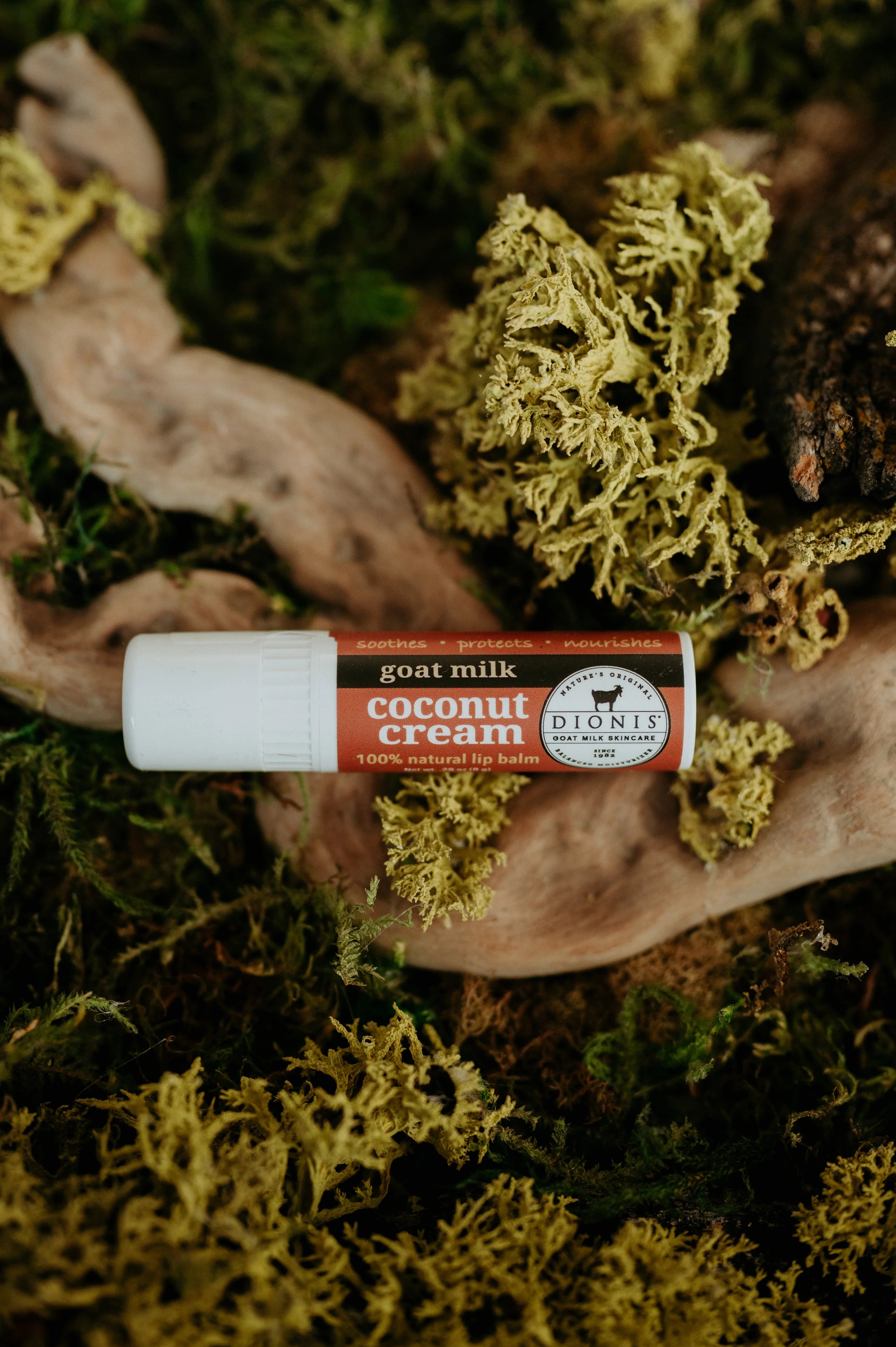 Dionis Lip Balm (Coconut)