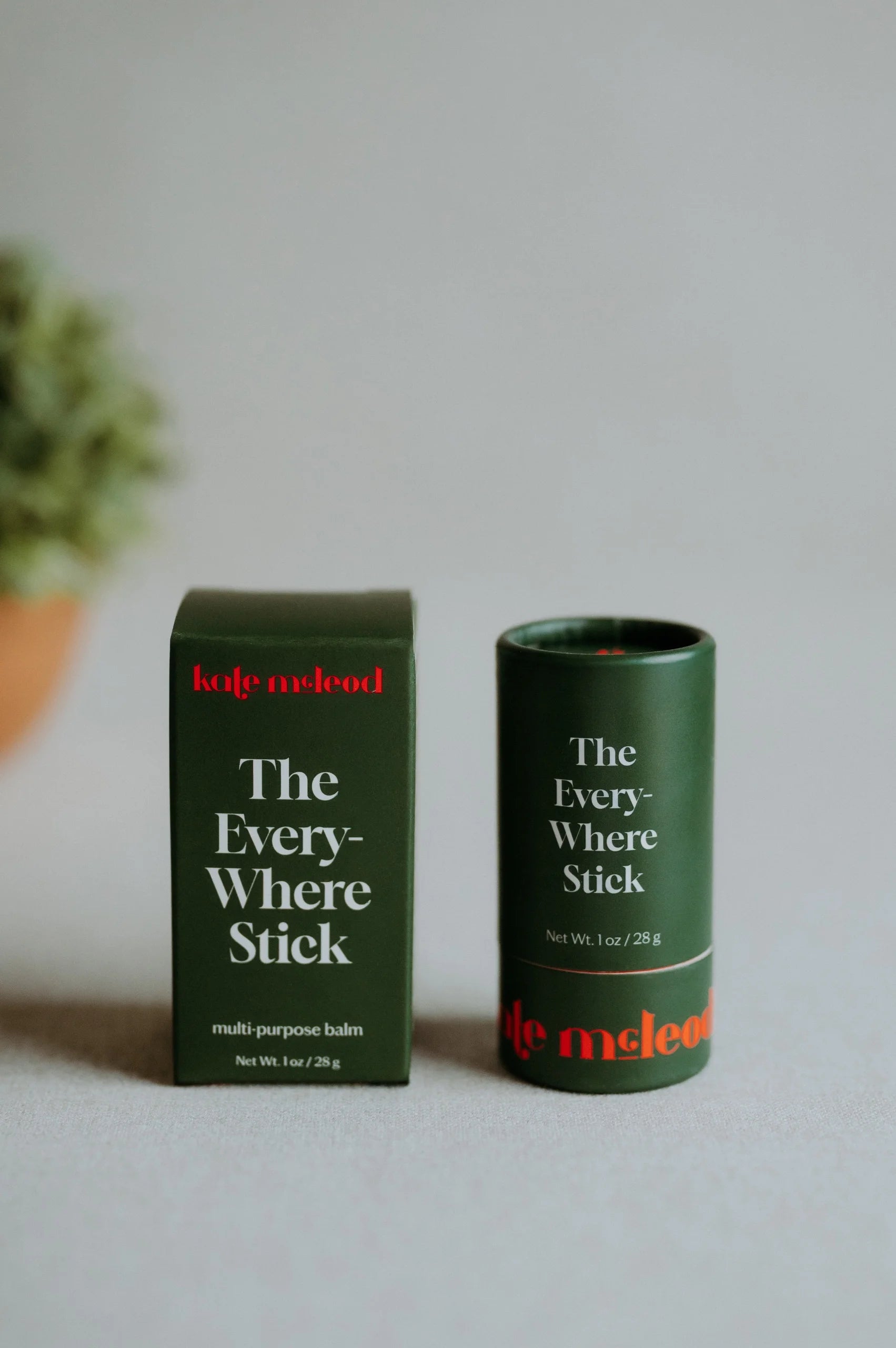 Kate McLeod The Everywhere Stick